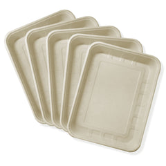 Emerging Green: caja desechable de acceso bajo para gatos pequeños, ideal para movilidad reducida.