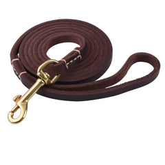 EMICUTE correa para perro 4ft con cuero genuino, comodidad durante paseos.