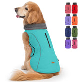 Emust chaleco para perro en turquesa con forro cálido, ideal para paseos de invierno.