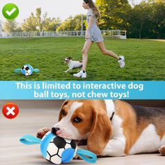 Eneston juego para interior y exterior, ligero y divertido para perros.