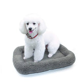 Cama Enjoying 16x22 para mascotas en escena completa.