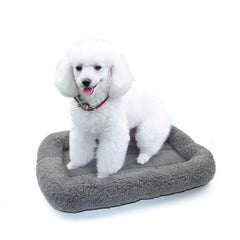 Cama Enjoying 16x22 para mascotas en escena completa.