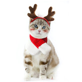 Enjoying diadema renos gatos, ideal para fotos navideñas