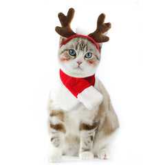 Enjoying diadema renos gatos, ideal para fotos navideñas