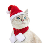 Disfraz Enjoying para gato con gorro de Santa y bufanda, perfecto para fiestas.