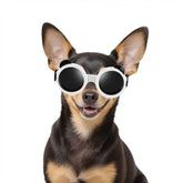 Gafas Enjoying para perro XS Panda blanco con protección UV