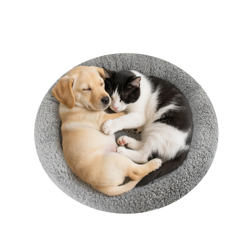 Enjoying cama plush círculo para gatos con diámetro de 19-5 pulgadas, descanso cálido.