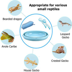 Enochainchin cepillos para baño, facilitan el aseo del dragón barbudo