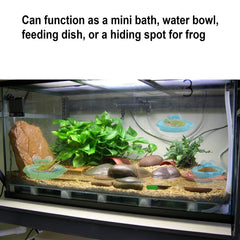 Enochainchin: tazón de agua seguro para ranas
