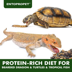 Entopropet grillos secos detalle, alto contenido de proteína para aves y peces