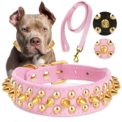 Collar Epesiri dorado con puntas, ideal para paseos con estilo