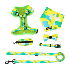 EPETKO correa para perro pequeño con diseño floral, ideal para paseos diarios.