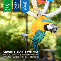 Equa Holistics HealthyGut: etiqueta de calidad, origen en Estados Unidos.