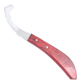 Cuchillo Equine Care para retirar huevos de bot con precisión y seguridad.