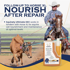 Equinety Ultimate OEC aceite de linaza: Omega 3 para un pelaje brillante y piel sana.