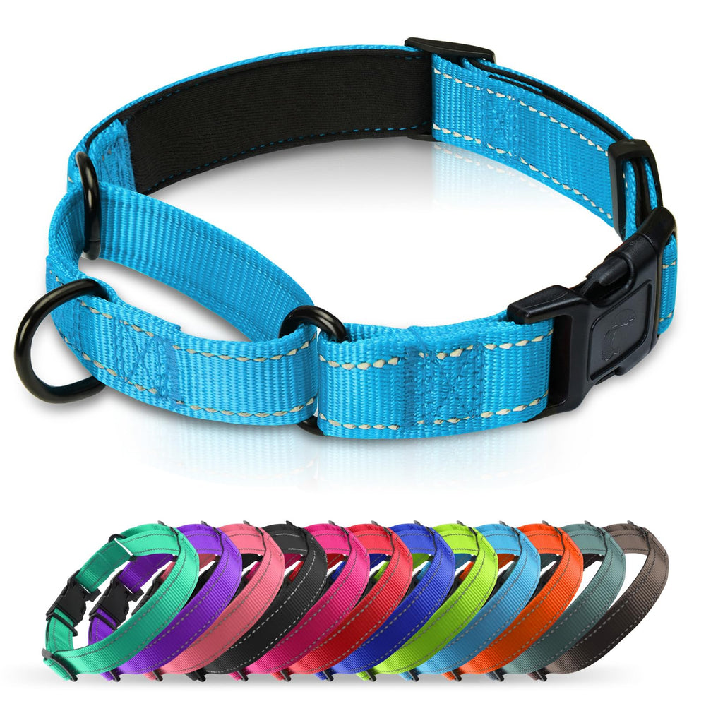 Collar Erbine de entrenamiento con neopreno acolchado azul aguamarina para paseos cómodos.