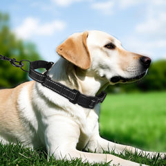 Erbine collar martingale con cierre rápido negro facilita salidas seguras