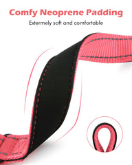 Erbine collar martingale hebilla liberacion rápida, seguridad durante emergencias