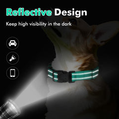 Erbine collar martingale reflectivo, mayor visibilidad en paseos vespertinos.