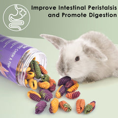 ERKOON Masticables gerbil favorecen la dentición y promueven juego interactivo.