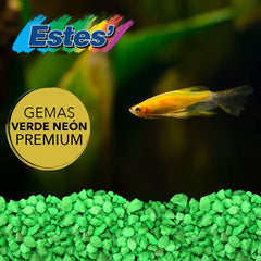 Escena en acuario con grava verde Permaglo, contraste suave para plantas.