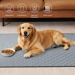 Almohadillas reutilizables Eterish, lavables y absorbentes para comodidad del perro.