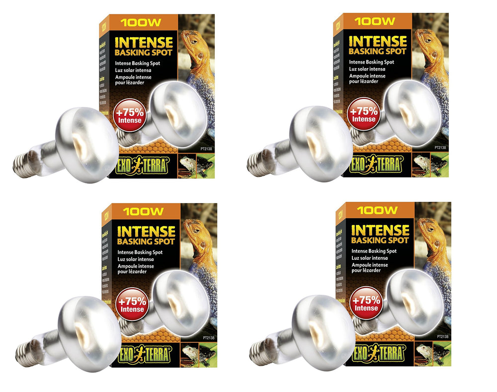 Exo Terra Sun-Glo: lámpara de calor para zona de braseo de reptiles.