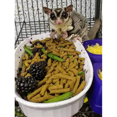 Exotic Nutrition Premium Insectivoros tiras alimentarias fáciles de usar para insectívoros.