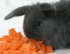 Golosina Exotic Nutrition Papaya Treat, trozos naturales y saludables para snack.
