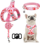EXPAWLORER set completo de arneses y correa para paseos seguros.
