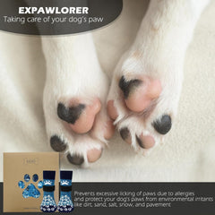EXPAWLORER calcetines para uso en interiores y exteriores con agarre