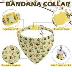 EXPAWLORER collar gato cierre seguridad ajustable para ajuste perfecto