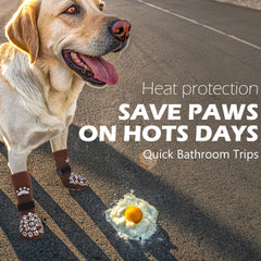 EXPAWLORER protección de patitas frente al calor del pavimento.