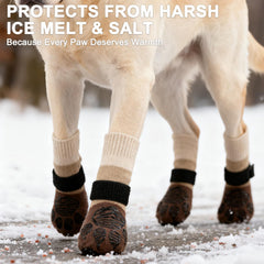 Puntos adhesivos interiores EXPAWLORER sujetan las patas con mayor seguridad.