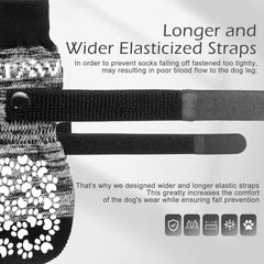EXPAWLORER tejido transpirable para comodidad del perro durante paseos