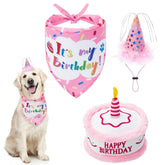 EXPAWLORER sombrero de cumpleaños para perro con ajuste cómodo.
