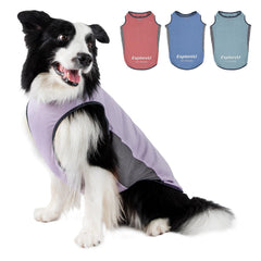 Chaleco enfriante ExploreU para perro en color lila, ideal para paseos frescos.