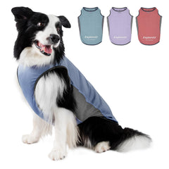 ExploreU chaleco perro refrescante y ligero para días calurosos