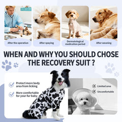 ExploreU traje recuperación perro estampa dibujo animado, diseño atractivo