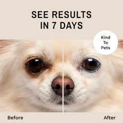 Eye Envy Tear Stain Remover: área ocular limpia para disminuir manchas visibles.