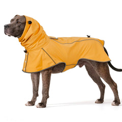 Capa lluvia para perros Ezierfy con reflectantes para mayor visibilidad.