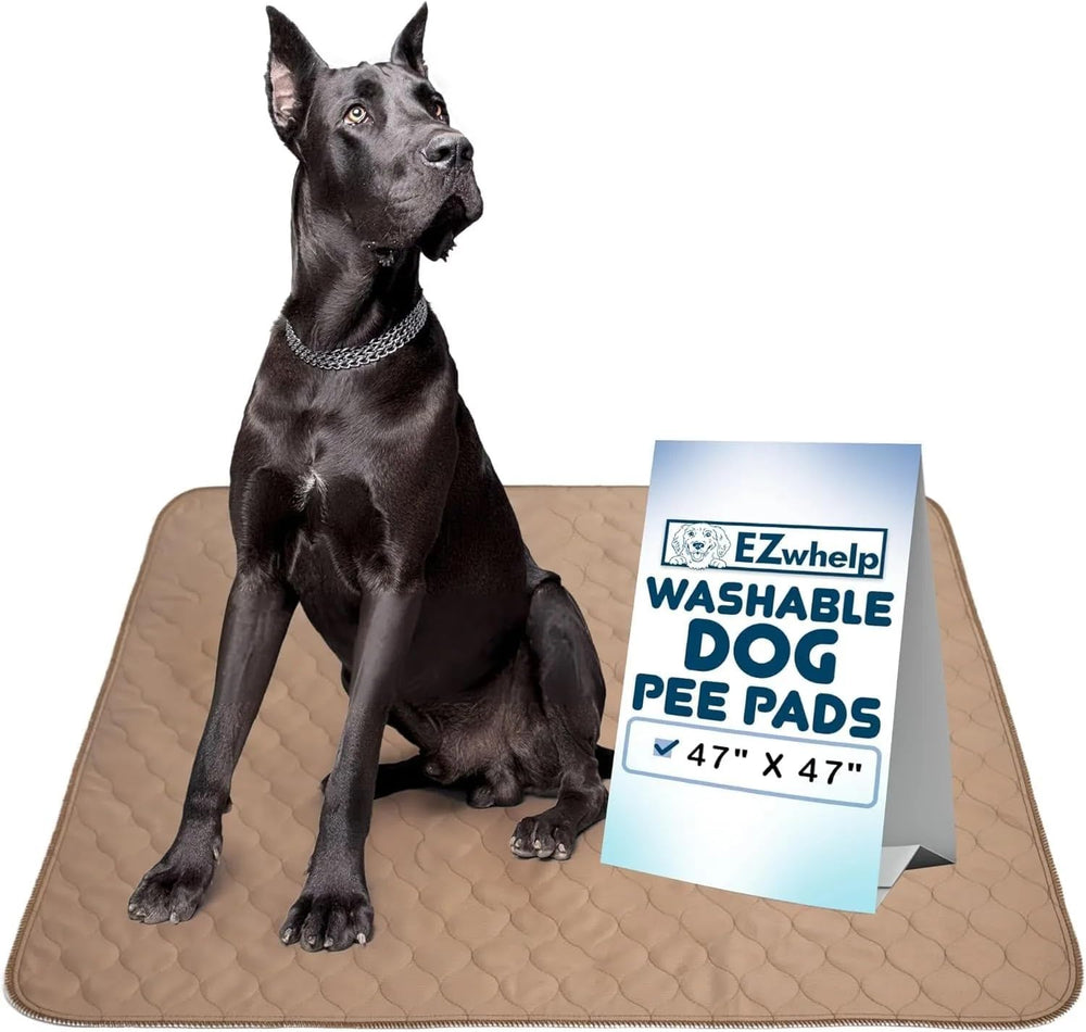 EZwhelp almohadilla lavable para perros; superficie absorbente para entrenamiento diario