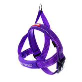 EzyDog arnés ajuste rápido para paseos más tranquilos y control preciso.