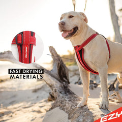 Arnés EzyDog con costuras reflectantes para mayor visibilidad nocturna.