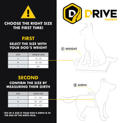 EzyDog Drive con cinturón universal para instalación simple en coche.