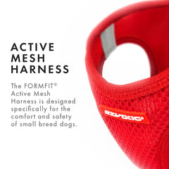 EzyDog FORMFIT: anillo D de acero inoxidable para durabilidad.