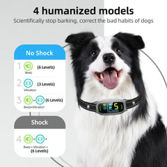 FAFAFROG collar con 5 niveles de sensibilidad para adaptación.