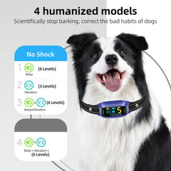 FAFAFROG collar carga rápida: ayuda a sesiones más eficientes.