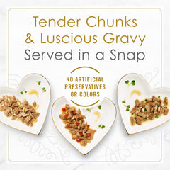 Fancy Feast salmón con salsa, sabor delicioso para cada comida