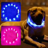 Fashion&cool collar iluminado frontal para mayor visibilidad nocturna.